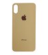 TAPA TRASERA IPHONE X IPHONE XS IPHONE 10 DORADO LOGO BIG HOLE
